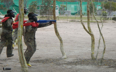 Trees Outdoor paintball