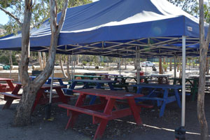 Picnic Tables